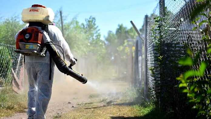 Aseguran que la epidemia de dengue es la más grande de los últimos 30 años